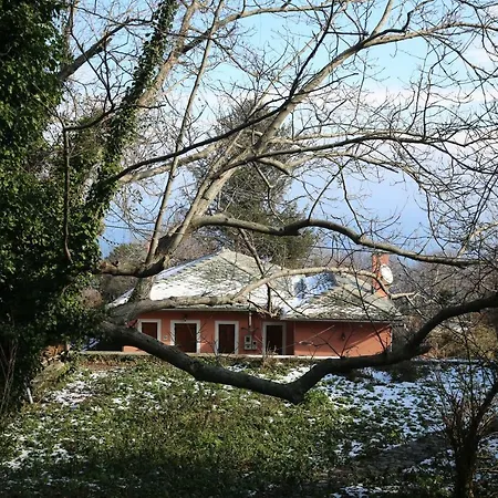 La Petite Maison Dans La Foret *