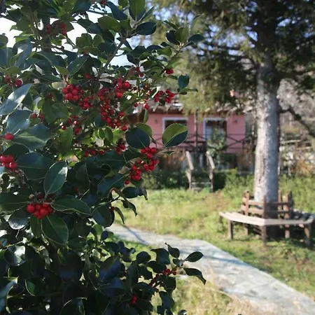 La Petite Maison Dans La Foret 別荘 *