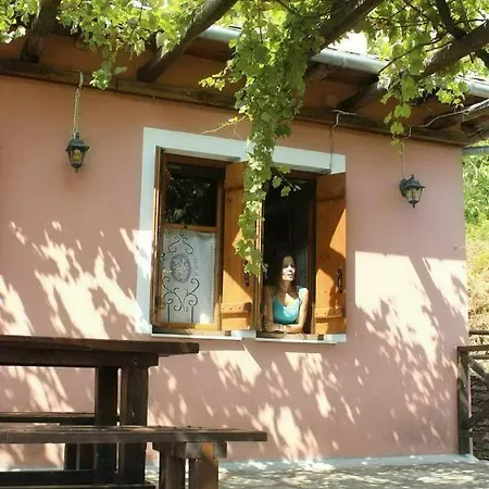 La Petite Maison Dans La Foret 別荘